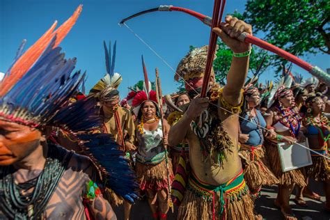 La Rivolta degli Oca - Un Tumulto di Guerra e Fedi Tra i Popoli Indigeni del Brasile nell'XI Secolo